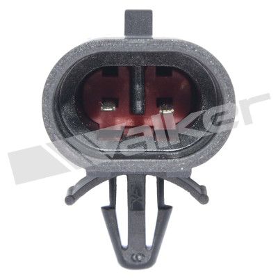 273-20743_3.JPG