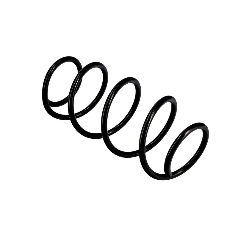 EIBACH R10162 Pakabos spyruoklė