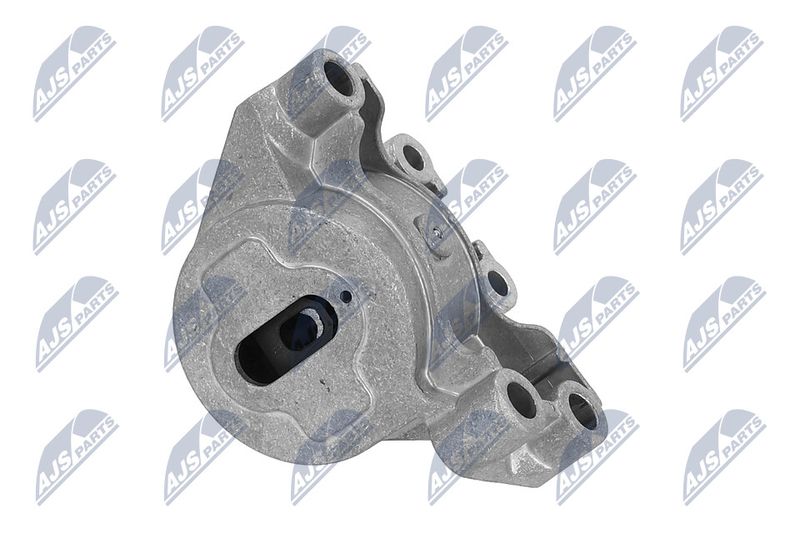 Paigutus, Mootor, NTY ZPS-PE-031