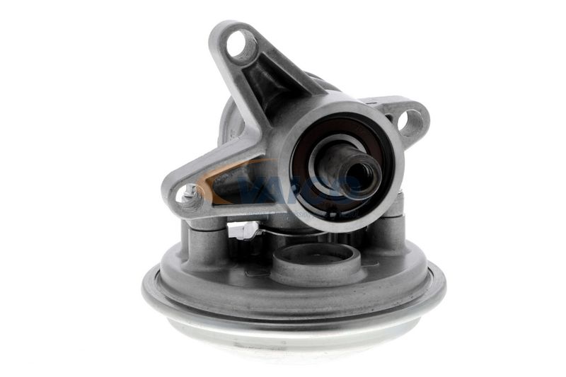 VAICO V25-1908 Mounting, engine