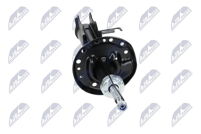 Amort, NTY A-PL-029
