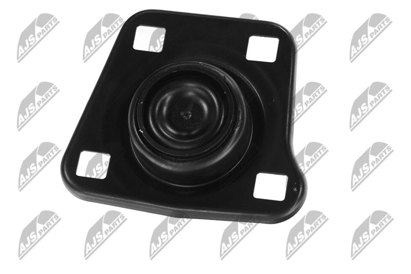 Paigutus, Mootor, NTY ZPS-FR-062