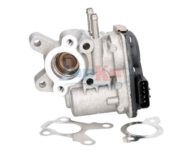 EGR-klapp, JAPKO 150108