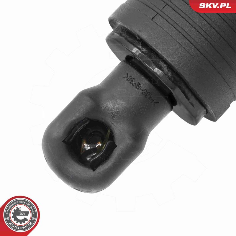 ESEN SKV 52SKV232 Electric Motor, tailgate