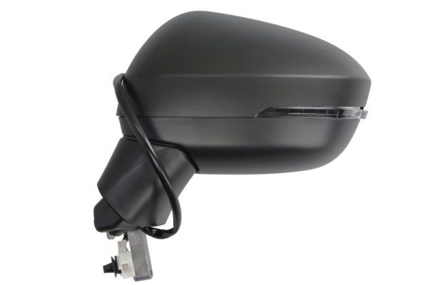BLIC 5402-16-2556310P Exterior Mirror