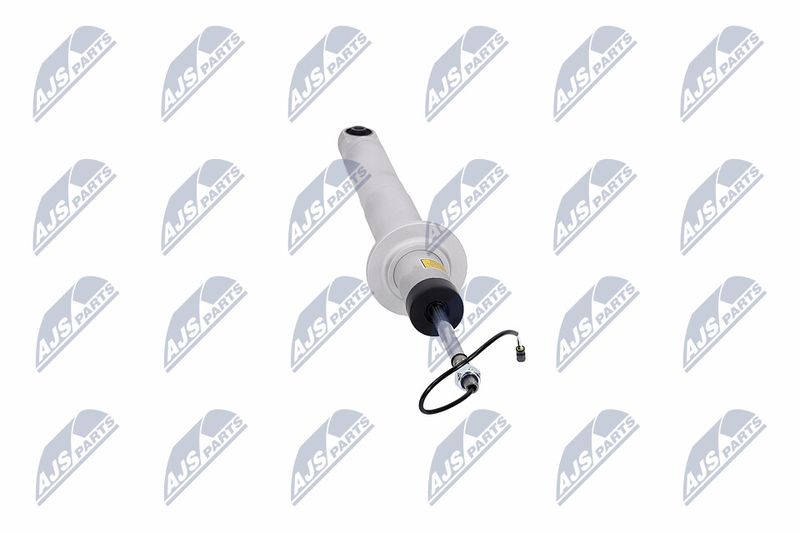 Amort, NTY A-MA-003