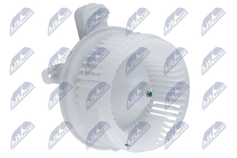 Salongipuhur, NTY EWN-TY-011