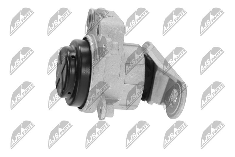 Paigutus, Mootor, NTY ZPS-FR-044