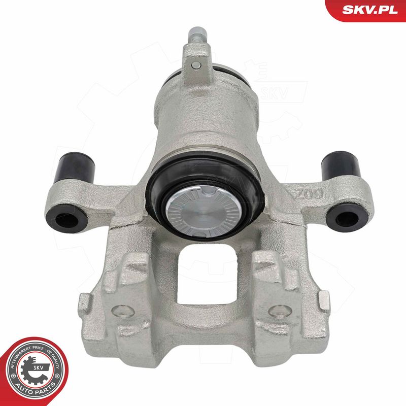 Pidurisadul, ESEN SKV 79SKV993