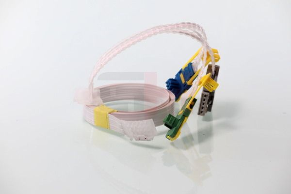 Tulede, kojameeste kangilüliti, GH GH-793768