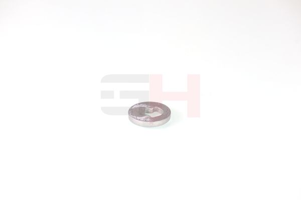 caster shim, sillatala, GH GH-391582