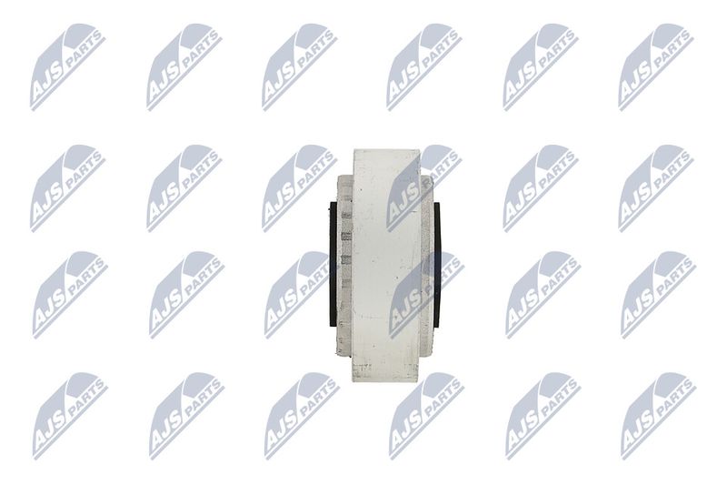 Paigutus, Mootor, NTY ZPS-PE-002