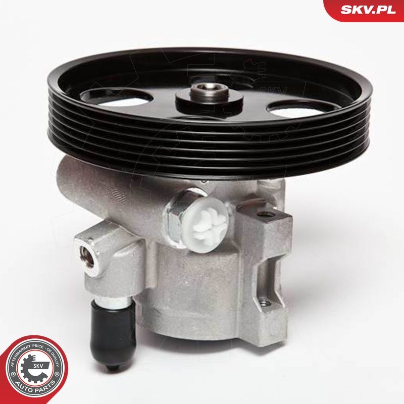 Hüdraulikapump, roolimine, ESEN SKV 10SKV069