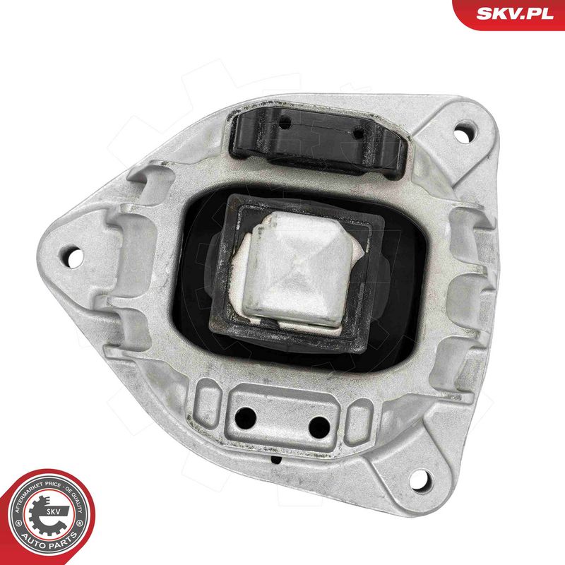 Paigutus, Mootor, ESEN SKV 75SKV131