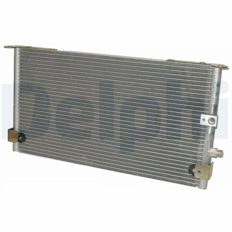 TSP0225448.JPG