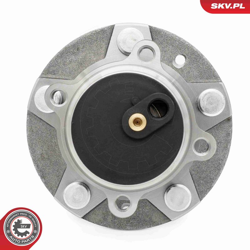 ESEN SKV 29SKV620 Wheel Bearing Kit