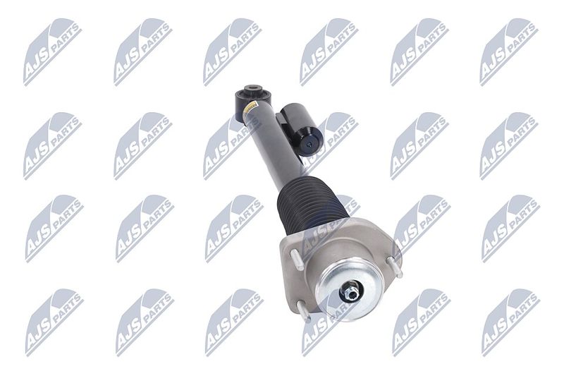 Amort, NTY A-LR-020