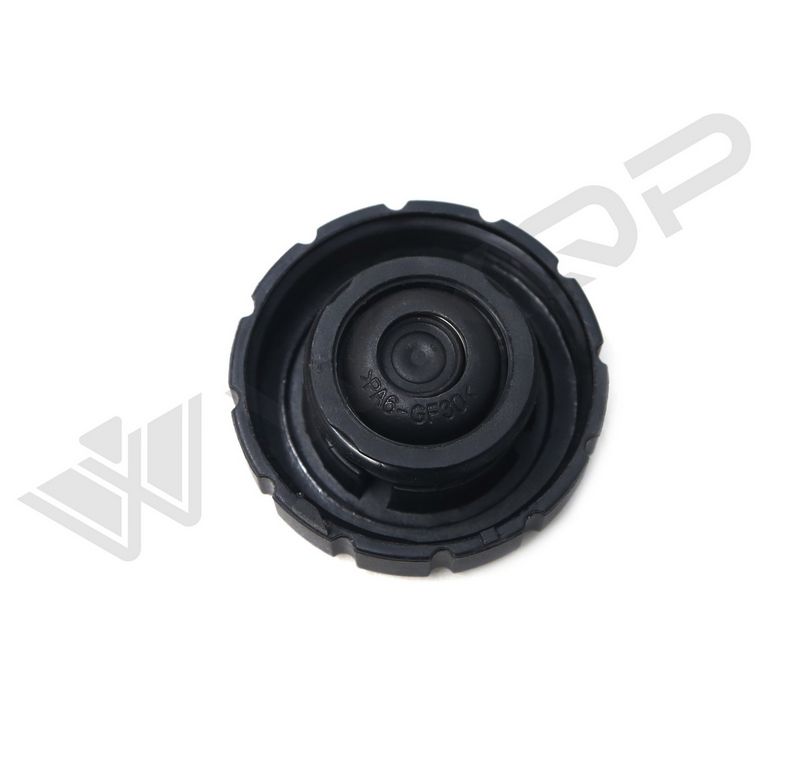 WXQP 120519 Cap, coolant tank