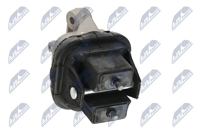 Paigutus, Mootor, NTY ZPS-CH-019