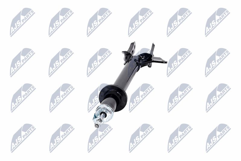 Amort, NTY A-CH-081
