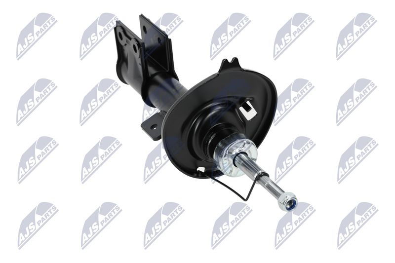 Amort, NTY A-PE-007