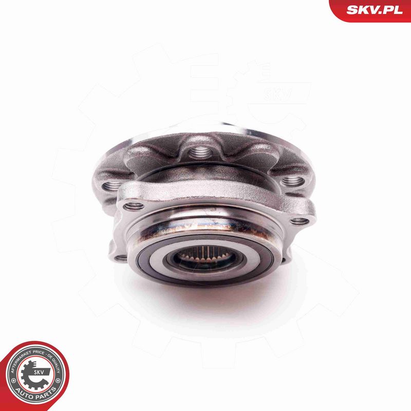 ESEN SKV 29SKV143 Wheel Bearing Kit