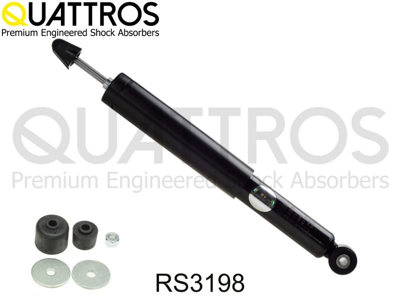 rs3198.JPG