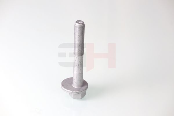 GH GH-399901 Camber Correction Screw