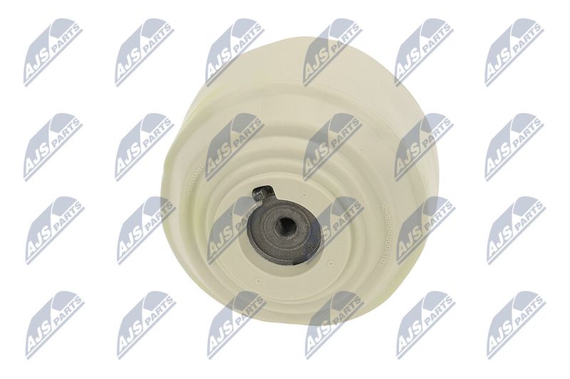 Paigutus, Mootor, NTY ZPS-ME-100