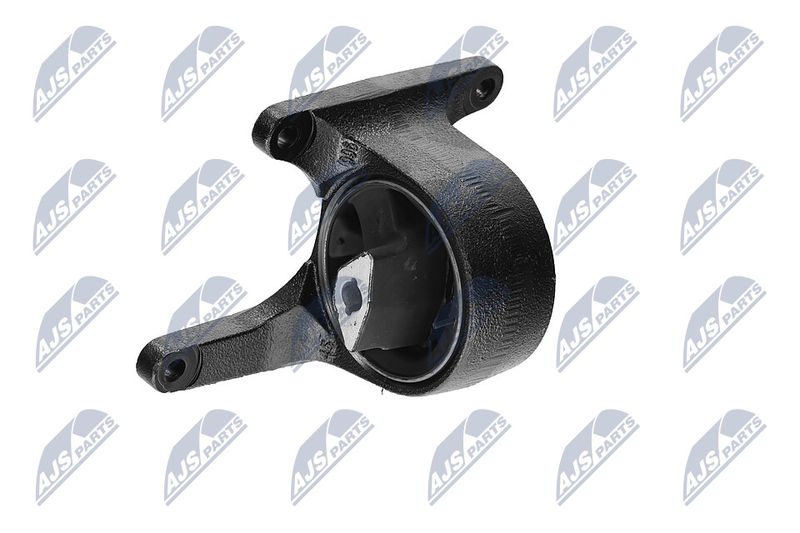 Paigutus, Mootor, NTY ZPS-CH-008