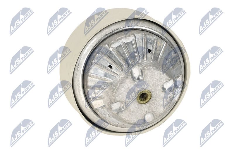 Paigutus, Mootor, NTY ZPS-ME-108