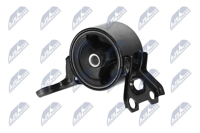 Paigutus, Mootor, NTY ZPS-CH-179