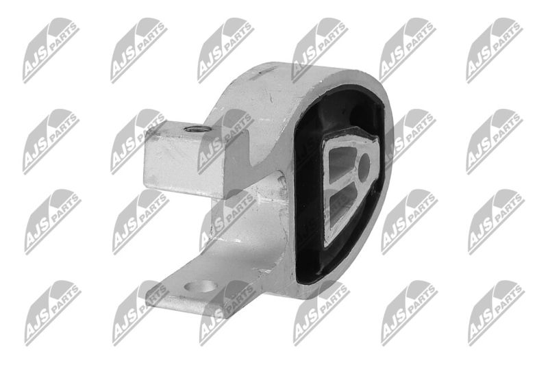 Paigutus, Mootor, NTY ZPS-FR-038