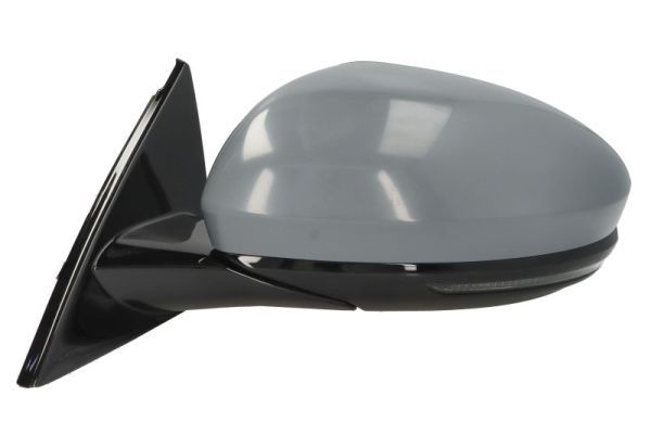 BLIC 5402-09-1243316P Exterior Mirror