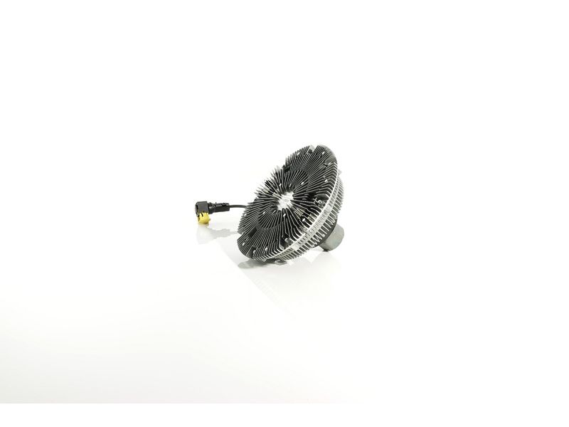 Image 17