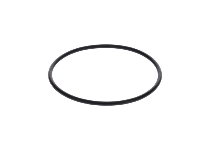 Inel de etansare 1 900 210 154 BOSCH