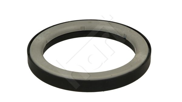 Frikcinis guolis, pakabos statramsčio atramos montavimas