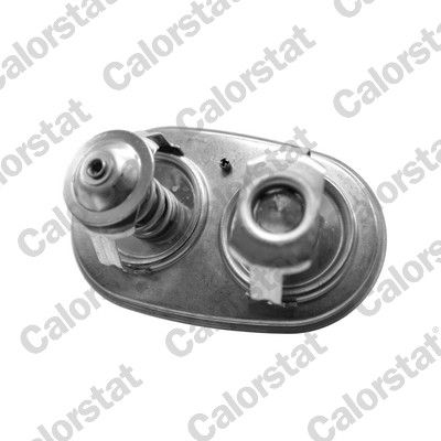 Termostat, chladivo TH7540.89.96J