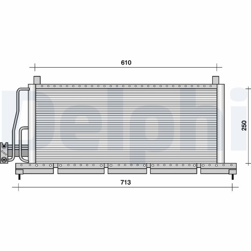 TSP0225046.JPG