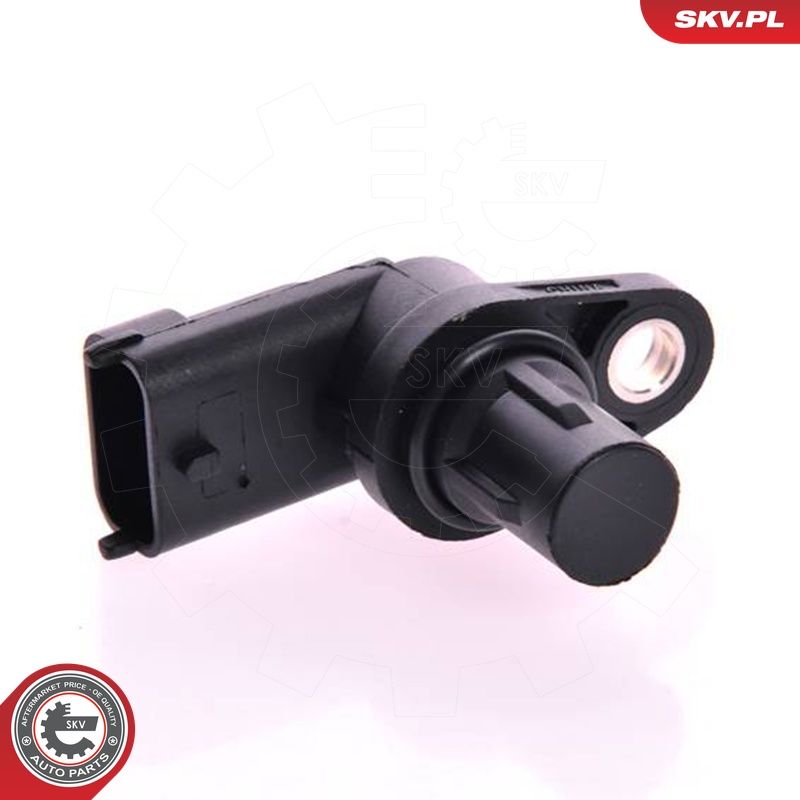 Andur, Nukkvõllipositsioon, ESEN SKV 17SKV229