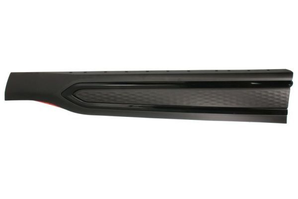 Elemente decorative/protectie, portiera BLIC 5703-04-6742582P