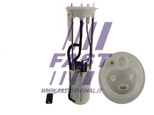 FT53004_1_1.JPG