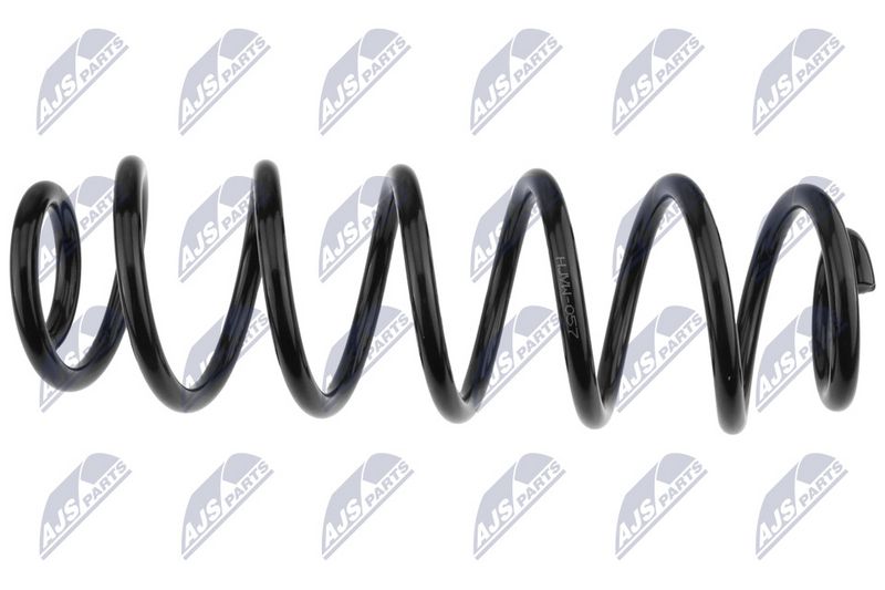 NTY ASZ-VW-057 Suspension Spring
