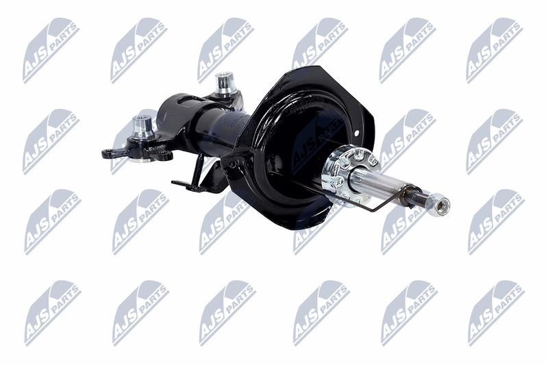 Amort, NTY A-NS-016