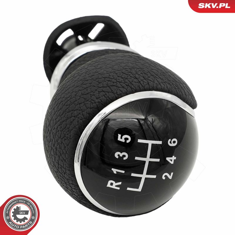 Käigukanginupp, ESEN SKV...