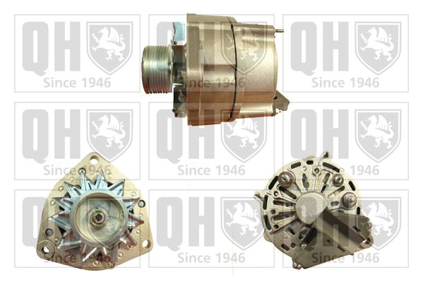 QH_QRA2096_GRUPPE.JPG