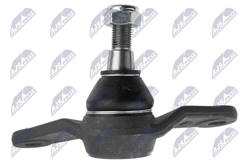 Kande-, juhtliigend, NTY ZSD-BM-005