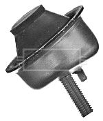 BEM3920_210716.JPG