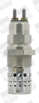 BorgWarner (BERU) GF529 Glow Plug