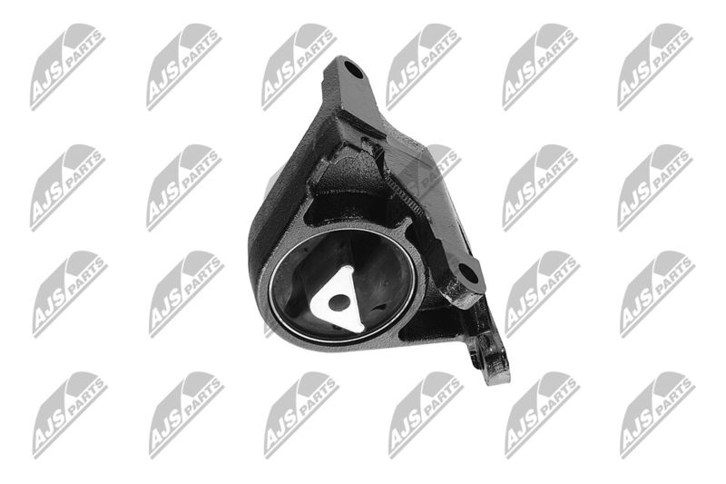 Paigutus, Mootor, NTY ZPS-CH-087